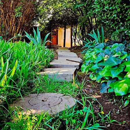 Bird Haven Guesthouse Hlotse Dış mekan fotoğraf