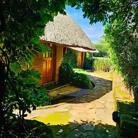 Bird Haven Guesthouse Hlotse Dış mekan fotoğraf