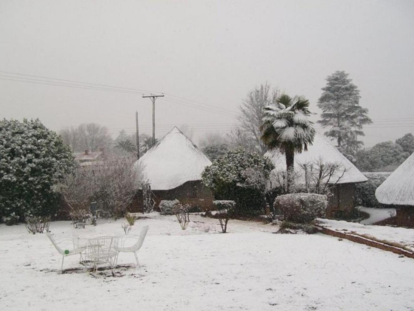 Bird Haven Guesthouse Hlotse Dış mekan fotoğraf